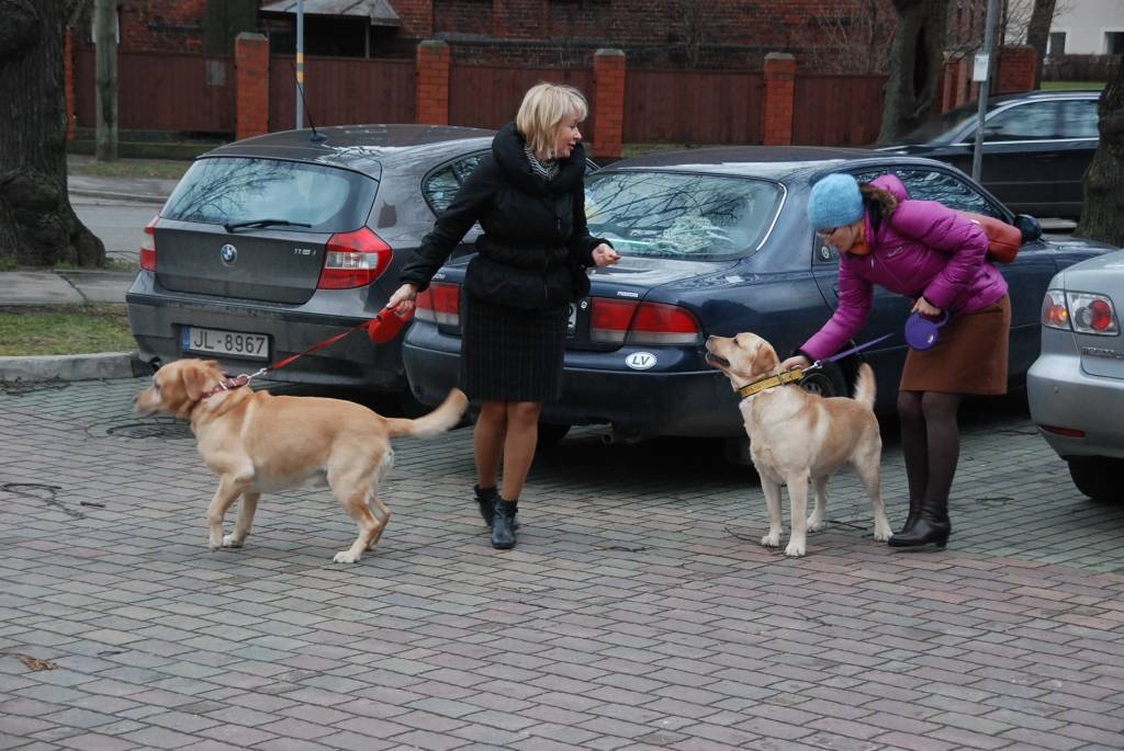 FOTO: Nacionālā šķirnes suņu izstāde Liepājā