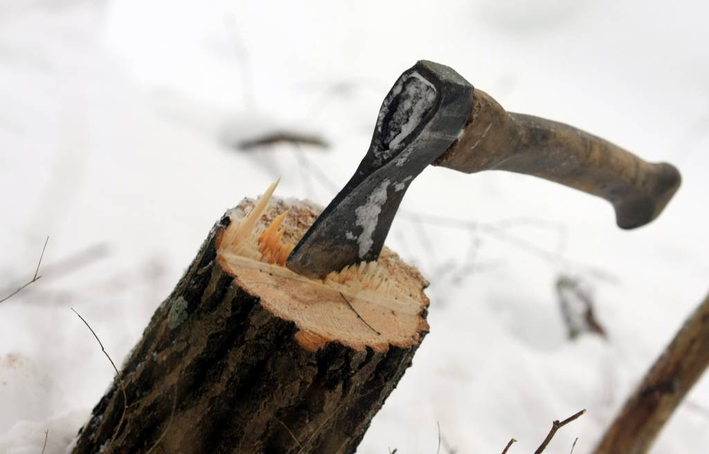 Skaldot malku, vīrietis sev nocērt pirkstu galus