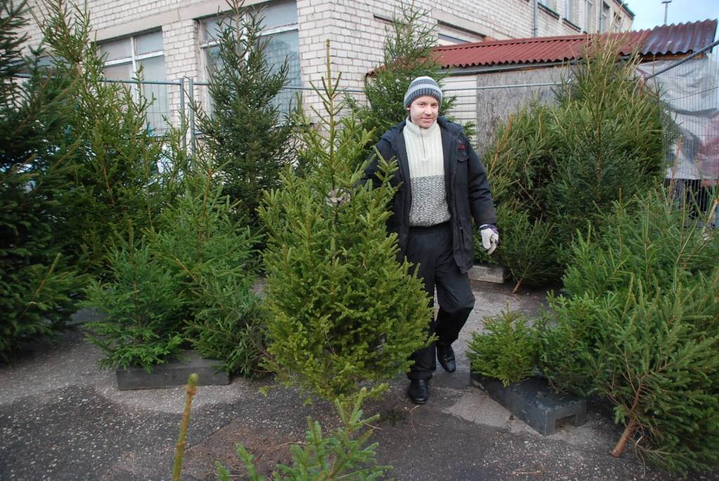 FOTO: Pētertirgus Ziemassvētku noskaņā
