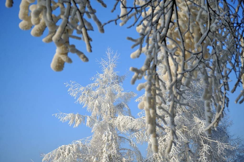Ziemassvētki pienākuši balti - lielā daļā Latvijas zemi klāj sniegs