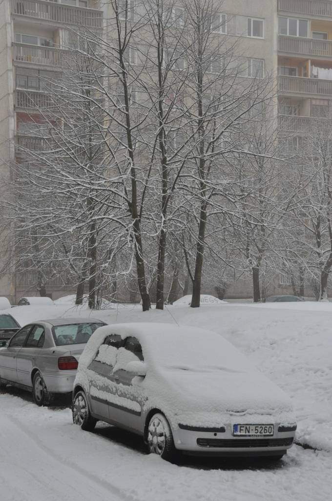FOTO: Liepājā iedzīvotāji priecājas par sniegu; sniegputeni prognozē arī Vecgada naktī