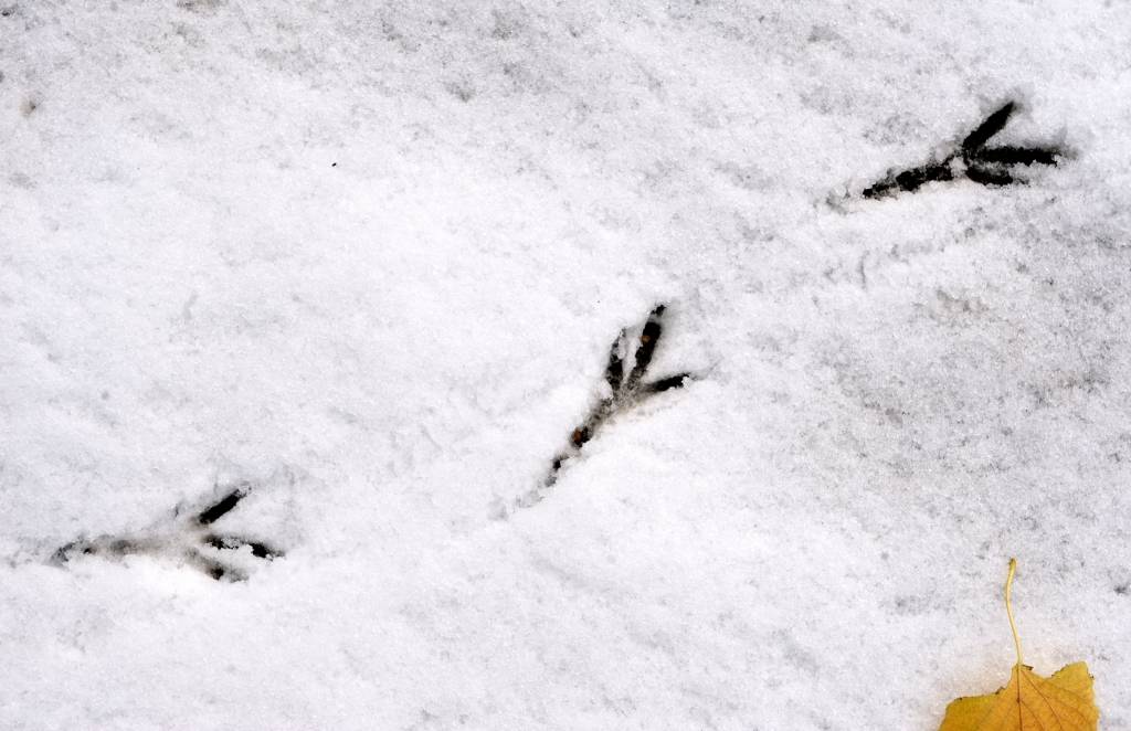 Nomaļākajā Latvijas nostūrī 150 kvadrātkilometru teritorijā nedzīvo neviens cilvēks