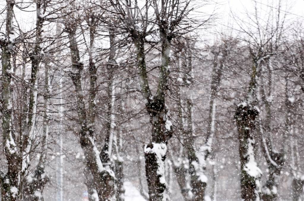 Otrdienā gaisa temperatūra nokritīsies līdz pat -16