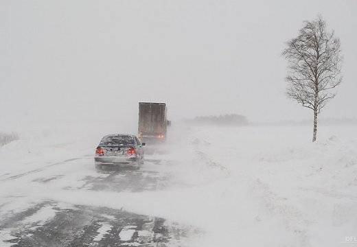 Brīvdienās laika apstākļi pasliktināsies - gaidāms stiprs vējš, svētdien putinās