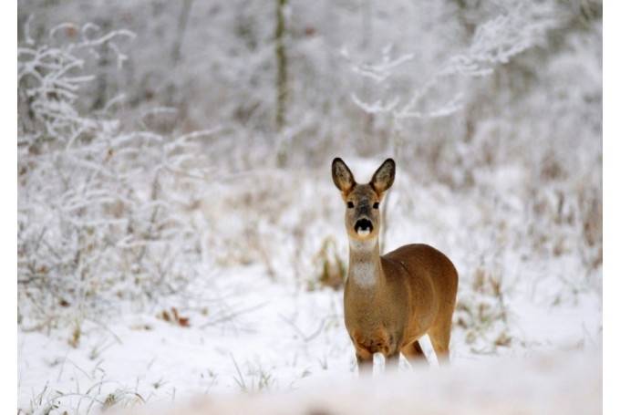 Sestdien laika apstākļi vēl nemainīsies, bet no svētdienas strauji kļūs aukstāk