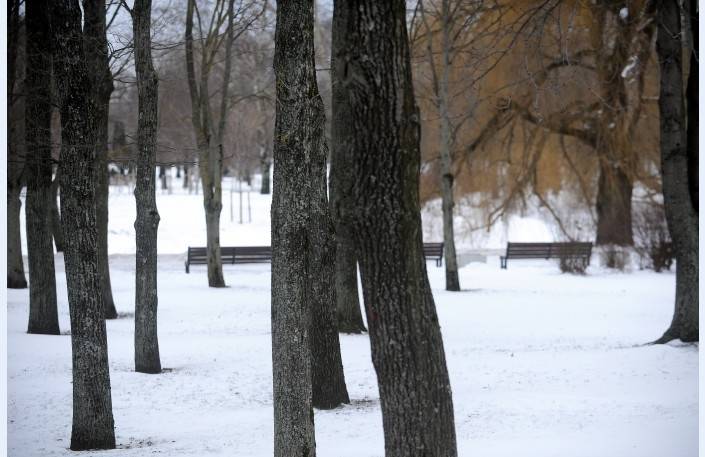 Šonedēļ nāvējoši nosaluši pieci cilvēki