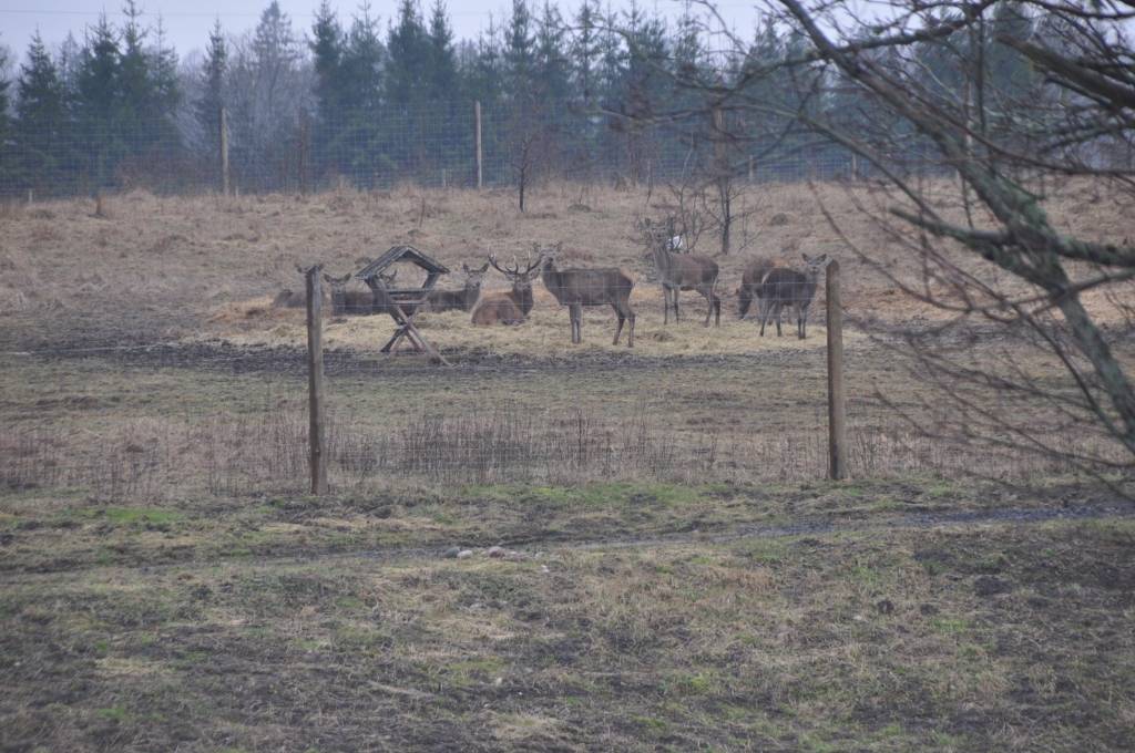 Ekskluzīvā "cietumā" nav citas iespējas kā notievēt