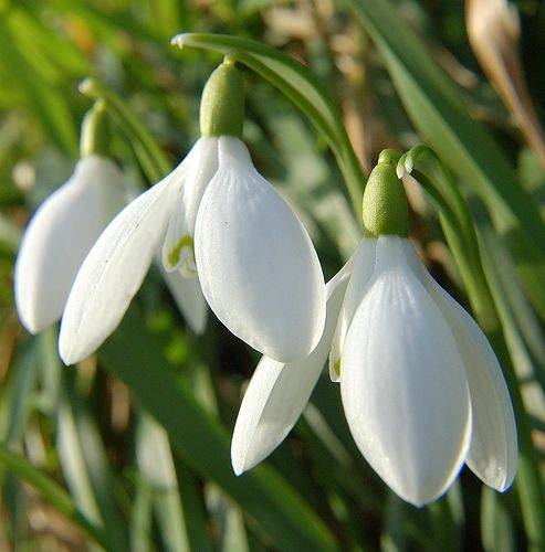 Gaidāmas līdz šim siltākās un pavasarīgākās brīvdienas šogad