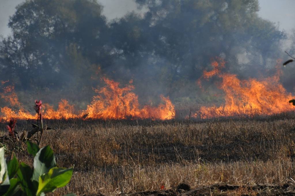 Sākusies aktīva kūlas dedzināšana