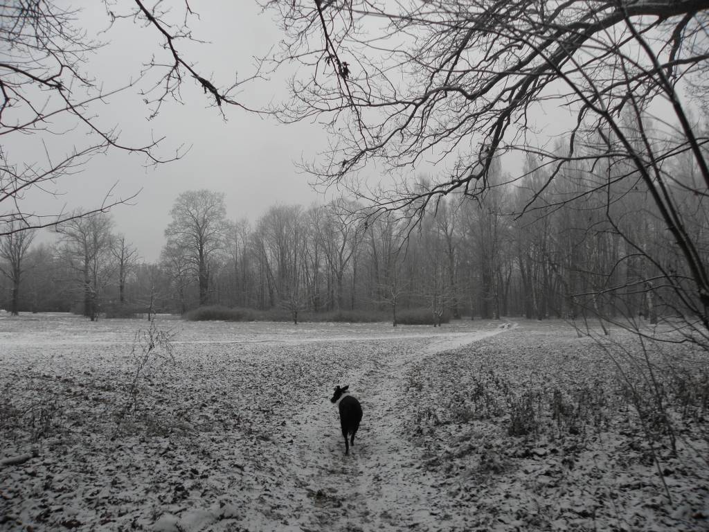 Pastāv liela iespējamība martā sagaidīt puteni un jaunu sniega kārtu