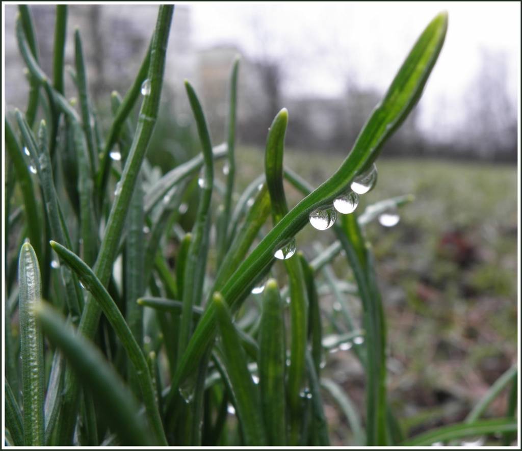 Nedēļas otrajā pusē laiks biežāk būs saulains, būtisku nokrišņu nebūs