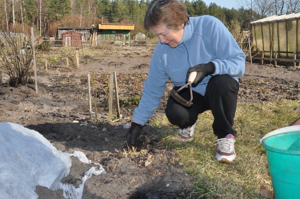 Pat rīdziniekus vilina Pāvilostas zeme un saule