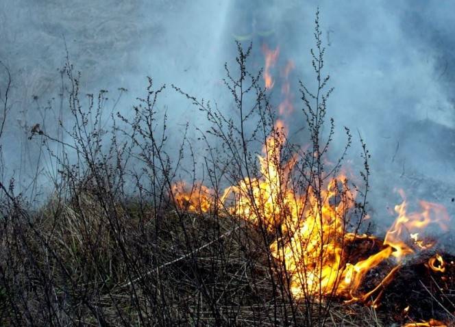 Vakar reģistrēti 37 kūlas ugunsgrēki; Kurzemē liesmas nopostījušas jaunaudzi