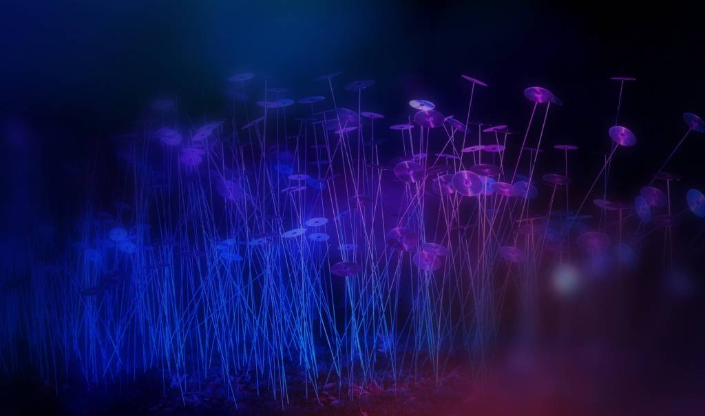 Liepājas muzejs aicina iesaistīties akcijā "Muzeju Nakts"