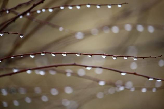 Šonedēļ būs nepatīkami laika apstākļi; Lieldienas - aukstas un daudzviet sniegotas