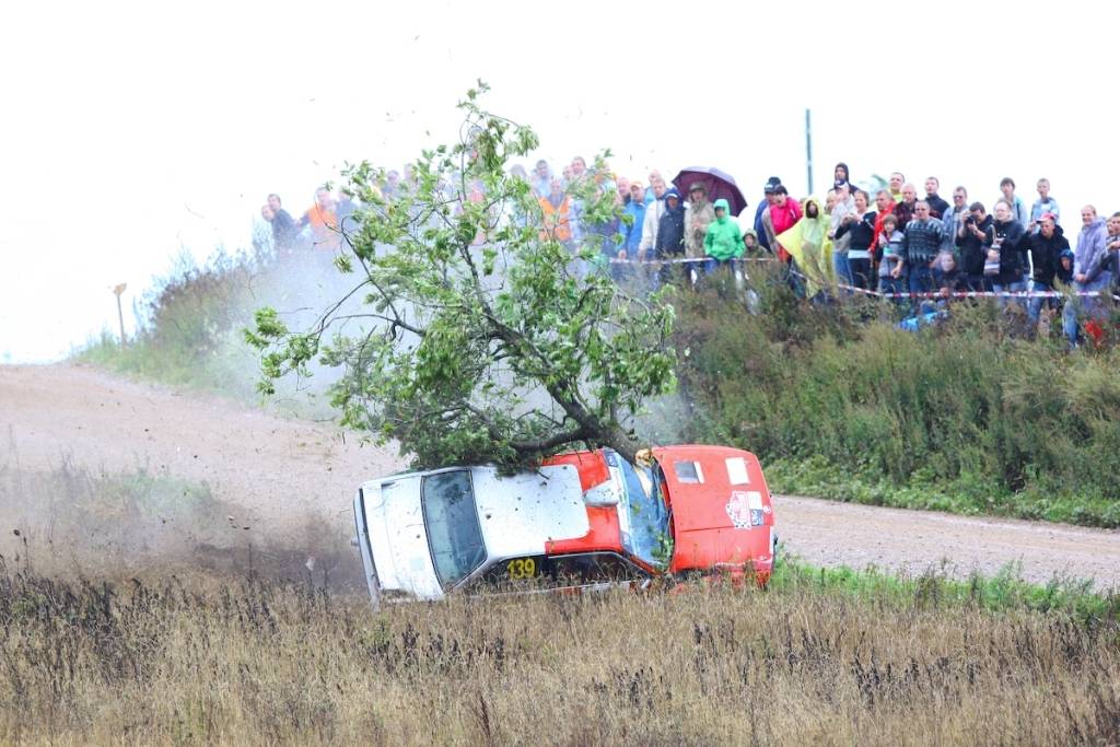 Vecpilī sestdien stādīs 50 ķiršus