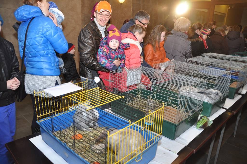 FOTO: Dekoratīvo dzīvnieku izstāde Liepājā