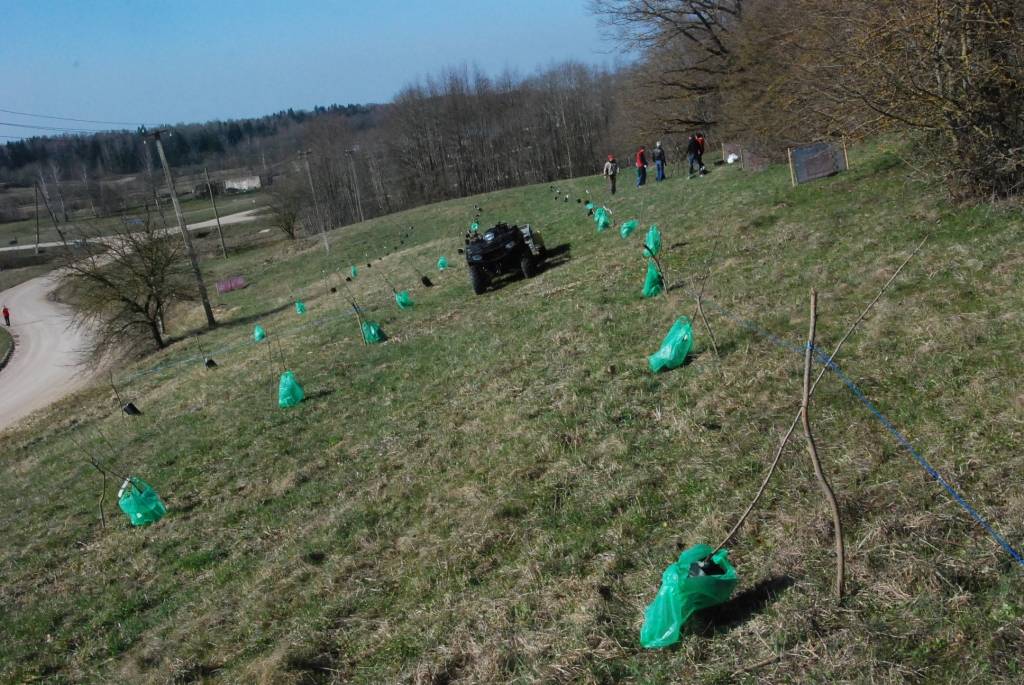 FOTO.VIDEO: Leģendārā Vecpils ātrumposma malā iestāda Ķiršu dārzu