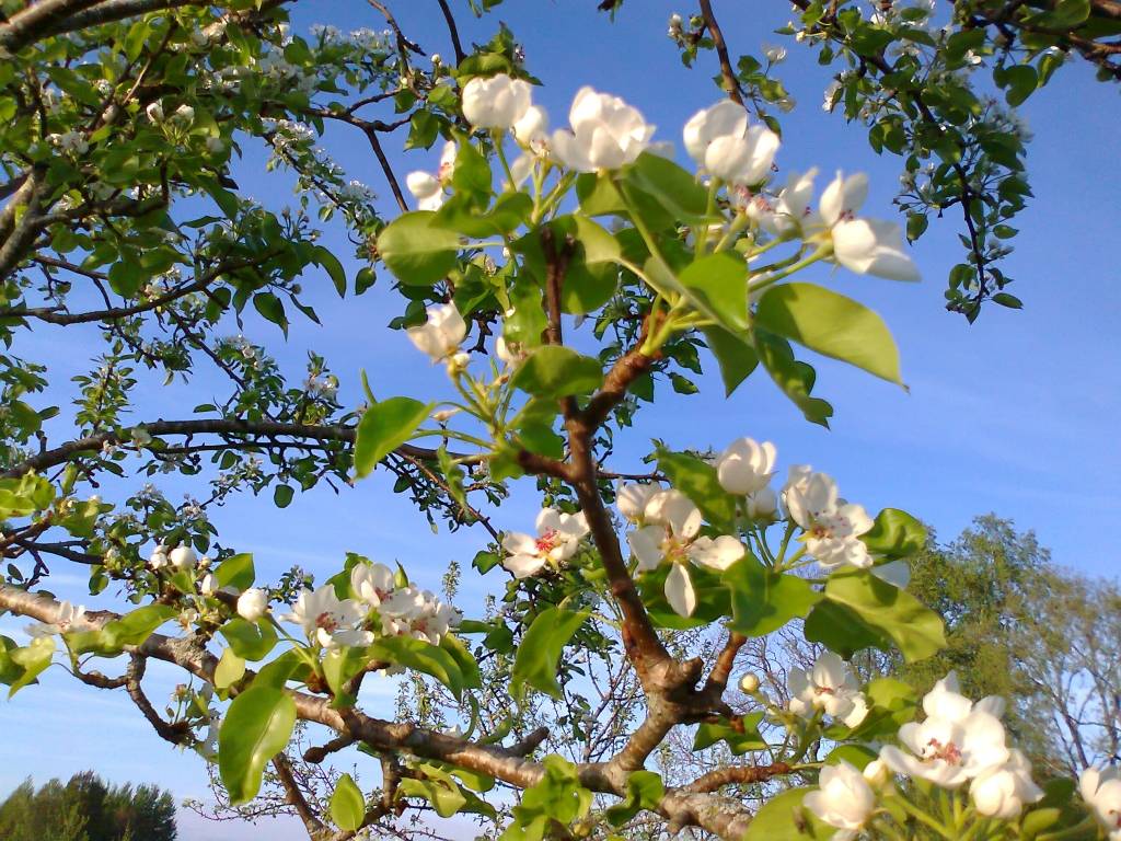 Gaidāmajā nedēļas nogalē atgriezīsies siltums