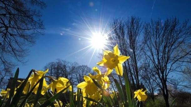 Turpmākās dienas kļūs siltāks, jaunnedēļ gaidāms arī pērkona negaiss