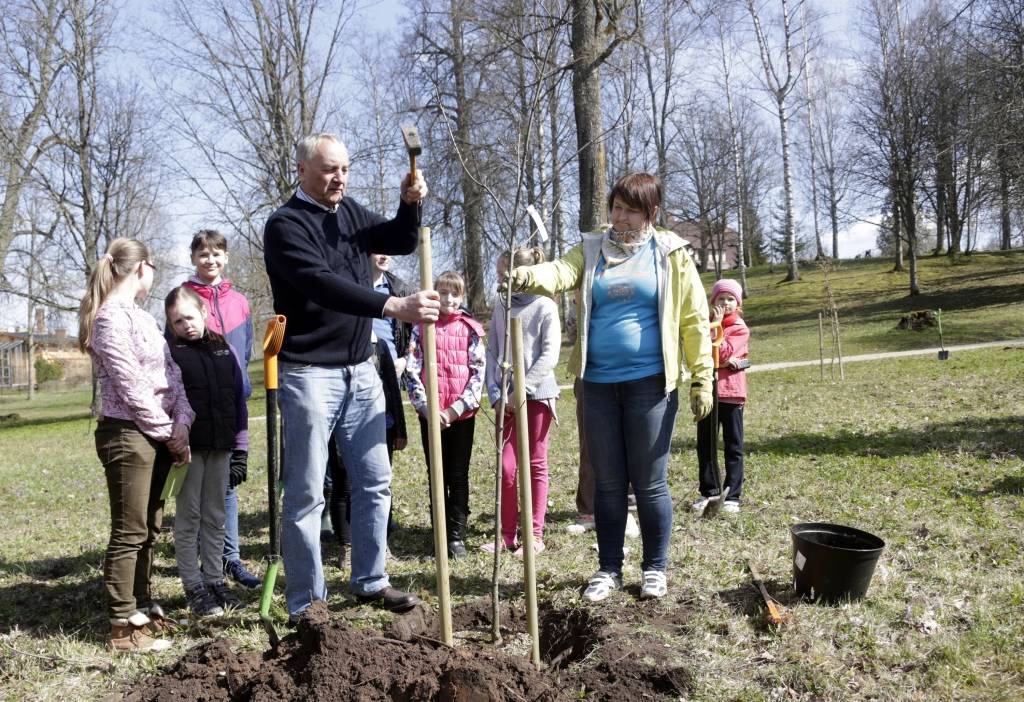 FOTO: Amatpersonas ķeras pie lāpstām un grābekļiem Lielajā talkā