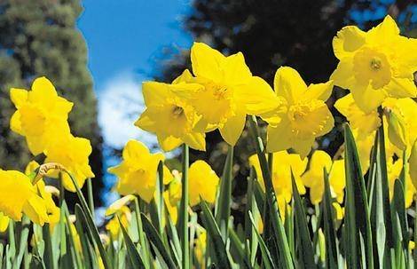 Otrdien gaiss iesils līdz plus 23 grādiem, turpmākās dienas būs nedaudz vēsāks