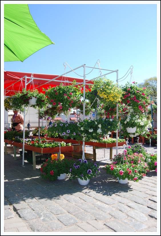 Pētertirgū aicina uz Saulaino maija tirgu