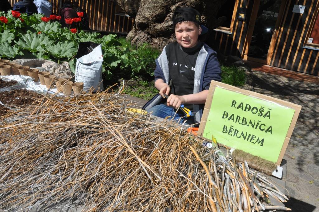 FOTO: Ceļ godā spinātus un skābeņu zupu