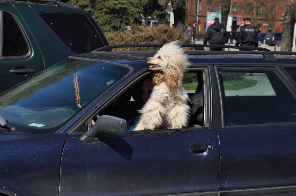 FOTO: Arī Liepājā pulcējas 9. maija svinētāji