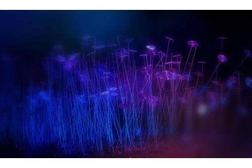 Liepājā Muzeju naktī plašs piedāvājums