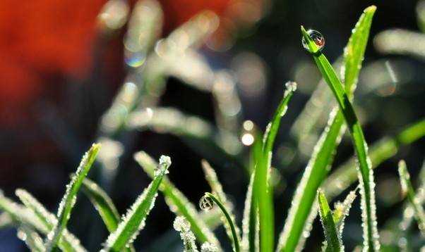 Nedēļas otrajā pusē iestāsies auksts laiks, naktīs būs salnas