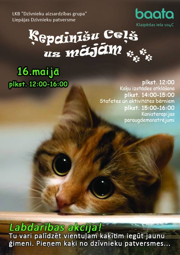 Meklēs mājas patversmē esošajiem kaķiem