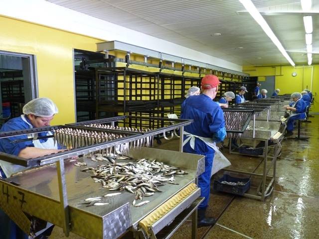 Organizē tikšanos zvejniekiem un piekrastes uzņēmējiem