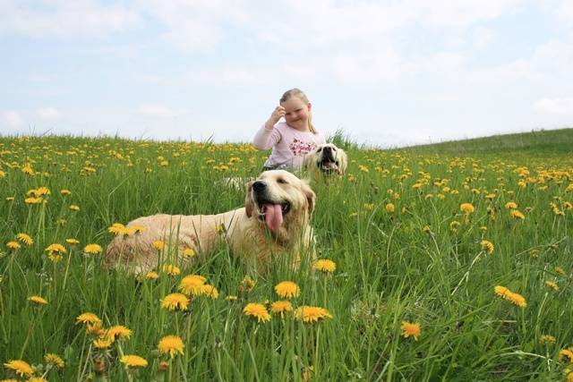 Jūnija sākumā Latviju sasniegs vasara