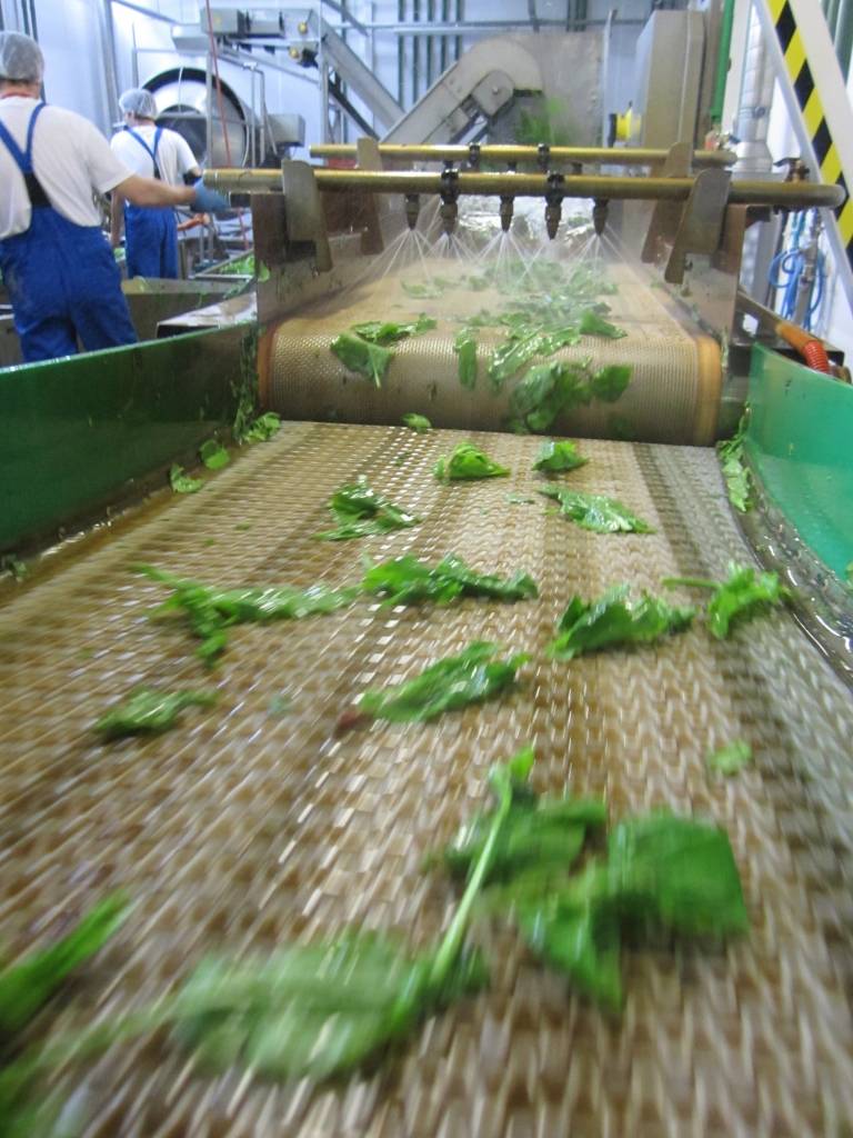 Ko un cik lielā apjomā šogad iepirks Spilva?