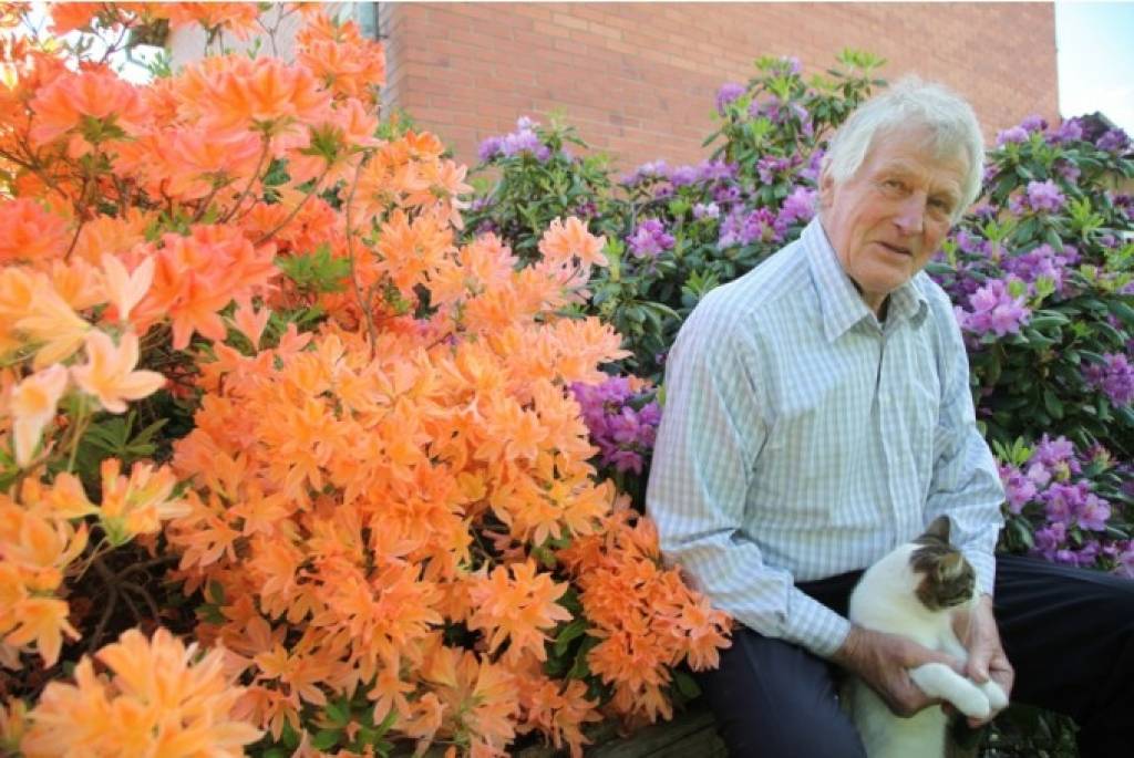 Kopā ar rododendriem – jau divdesmit gadus 