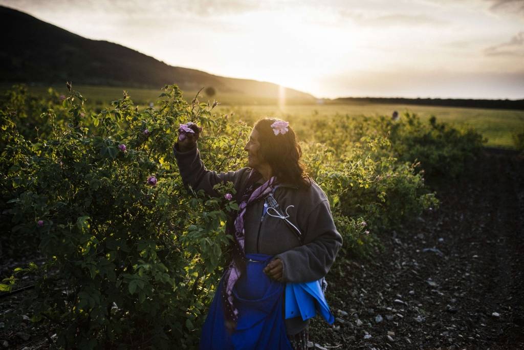 Bulgārija: no rozes līdz eļļai - fotogrāfijās