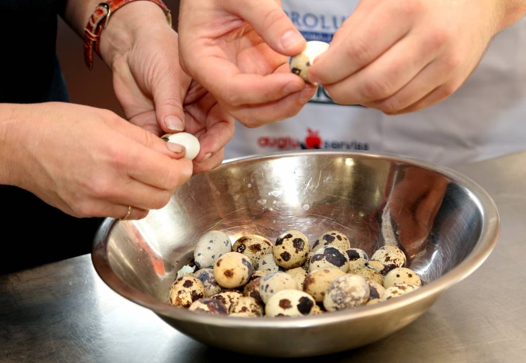 Olu ražotājam Eka paipalas nāksies izkaut ap 30 000 putnu