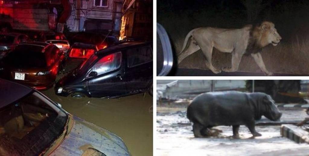 papildināts (16:22) - Plūdos Tbilisi desmit bojāgājušie; no zoodārza izmukuši zvēri