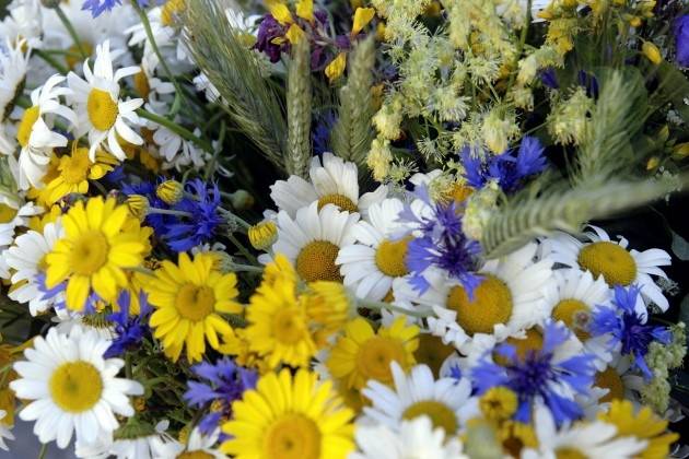 Spēka dziesmu vakars Līgo skaņās