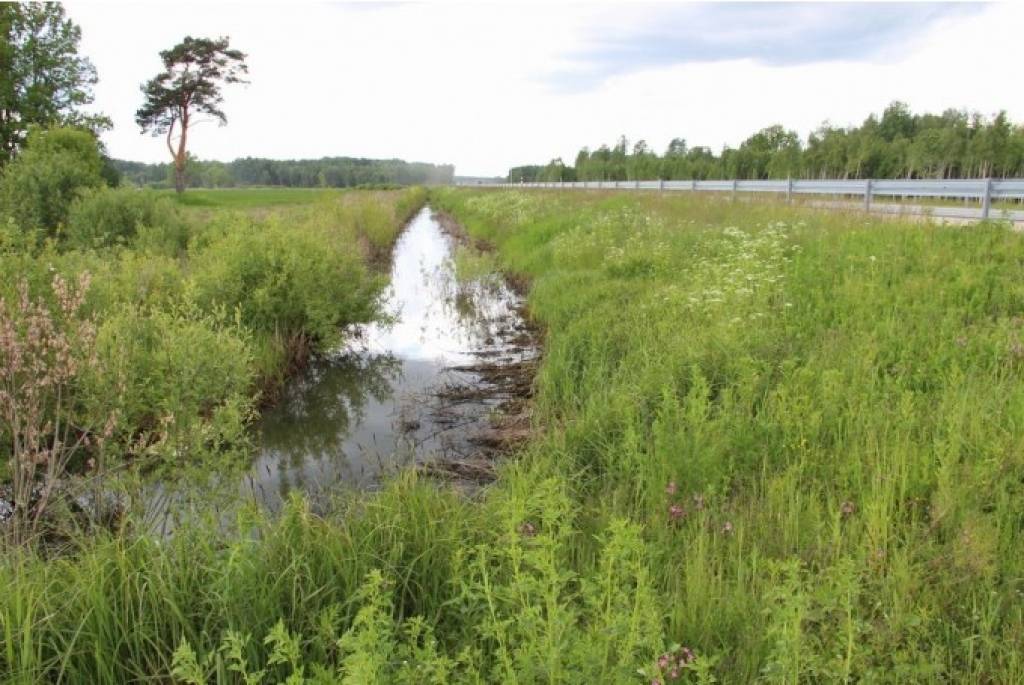 Norāda uz nepilnībām ceļā Tīnūži – Koknese