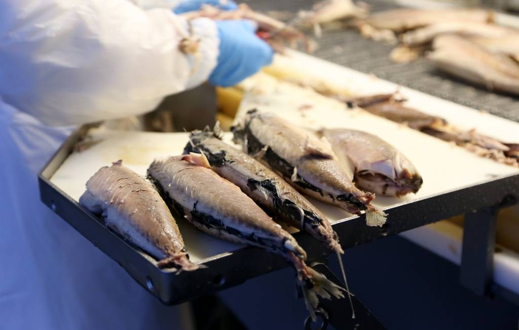 Zivrūpnieki var rēķināties ar projektu pagarinājumiem un atliktiem nodokļu maksājumiem