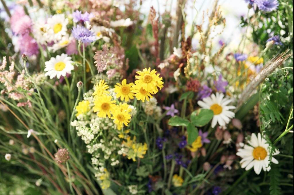 Būs Līgo tirdziņš Pētertirgū