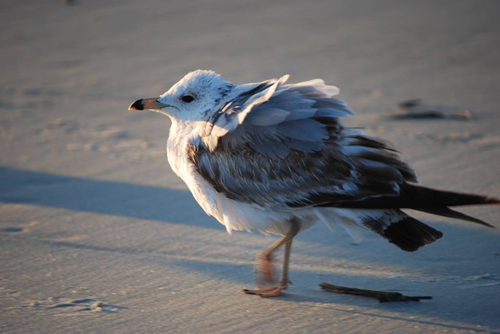 Investors: Jāpārdzīvo svārstīgā vasara 