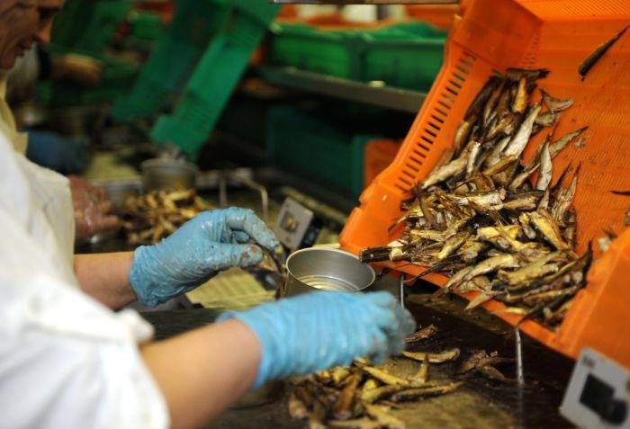 Lielākā daļa zivju pārstrādes uzņēmuma "Kolumbija Ltd." darbinieku devušies apmaksātā atvaļinājumā