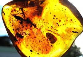 Baltijas jūras piekrastes pilsētas iesaistīsies kopējā tūrisma projektā "Dzintara ceļš"