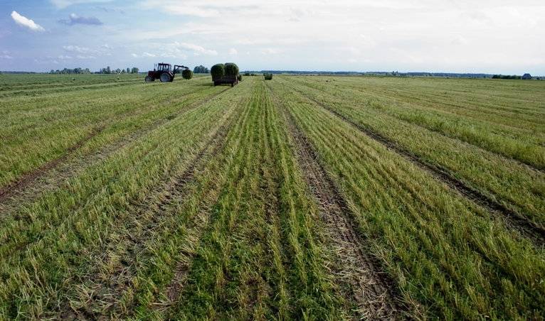 Zemnieki varēs saņemt kompensācijas par nemedījamo dzīvnieku postījumiem