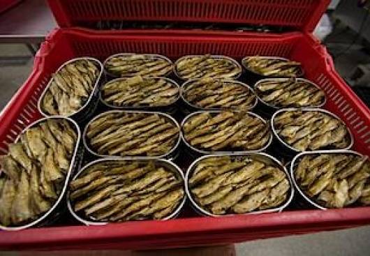 Zivrūpnieku savienība: Cilvēki piekrastē zaudēs darbu iespējamā Krievijas aizlieguma zivju konservu importam dēļ