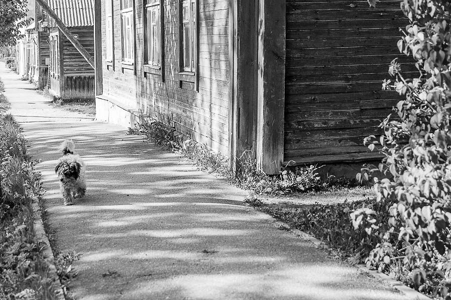 Fotostudija FOTAST īsteno projektu "Liepājas iela Latvijas garumā"