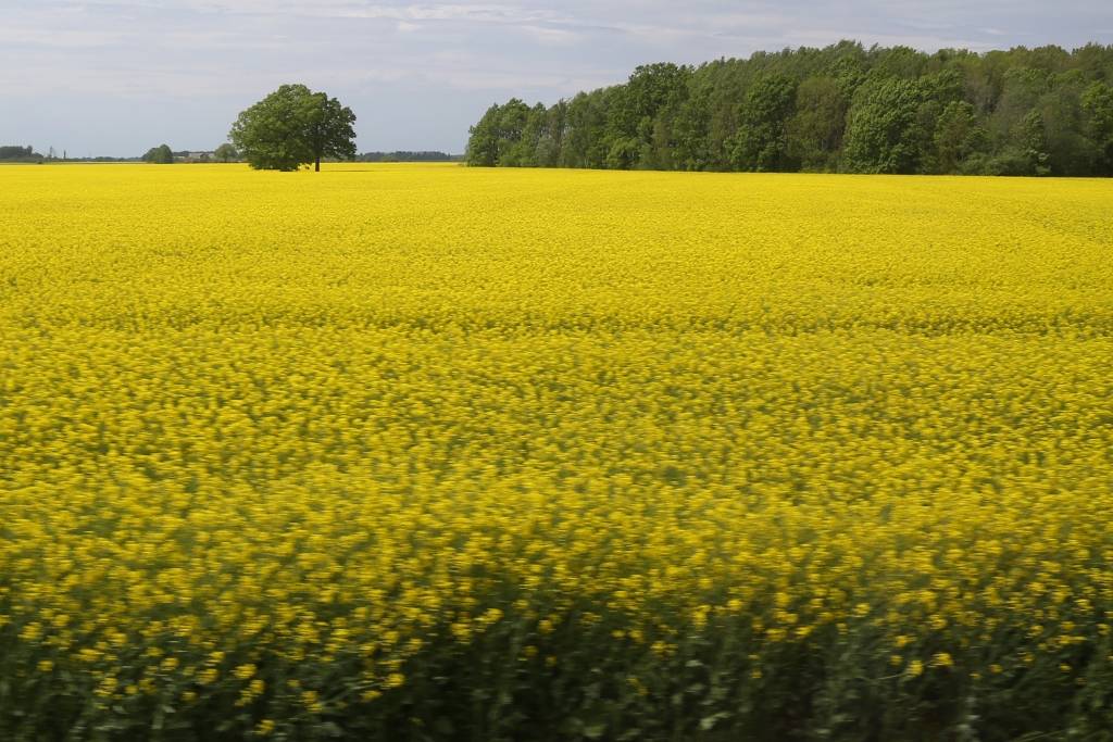 Eksperti rudenī prognozē rekordražas